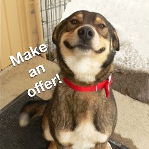 Reasonable offers accepted!